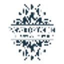 Power of Touch Workshops logo