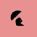 BearDry logo