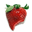 The Garden Grazer logo