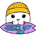 Surfs Up NY logo