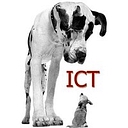 BigDog ICT logo