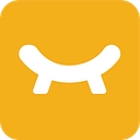 Logicfox logo