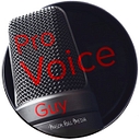 Pro Voice Guy logo