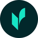 veriff.com favicon