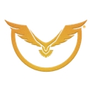 Defiant Strength logo