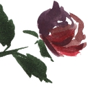 Beauty & the Budget Events logo