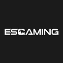 ESGAMING logo