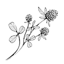 Chef Kristen Catering logo