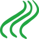 Green Steam Detailing logo