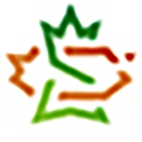seasonalconceptsinc.com favicon