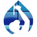 Squeegee Clean360 logo