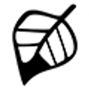 Black Ficus logo
