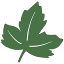 The View from Great Island logo