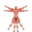 Dr Muscle logo