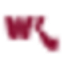 The Cataract Surgeons logo