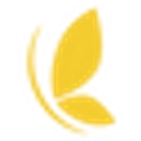 Magicfly logo