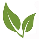 Matcha Outlet logo