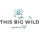 This Big Wild World logo
