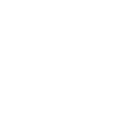 VeinSight logo