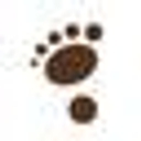Tiny Toes Design logo