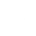 Premium Car Selection logo