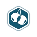 CHERI logo