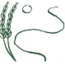 The Lavender Travelers logo