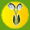 Flora Niche Florist logo