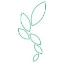 BambooAI logo