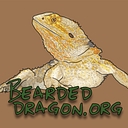 BeardedDragon.org logo