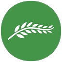 ICCFA (International Cemetery, Cremation & Funeral Association) logo