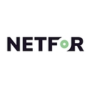 netfor.com favicon