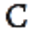 Coach Glitter logo