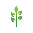 Women's Health Arizona logo