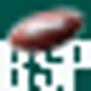 Bankroll Sports logo