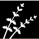 Blue Sage Capital logo