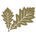 Perennial Wealth logo