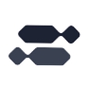 Nicia AI logo
