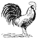 Sandy Tours logo