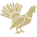 Capercaillie wines logo