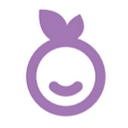 JoyBerri logo