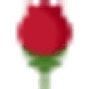 Urban Flora logo