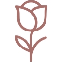 Rosewood Cleaning logo