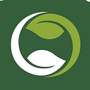 From The Forest logo