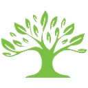 Life Counseling Solutions logo