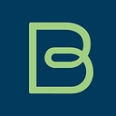 Brainspring logo