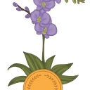Ho'okipa Financial Connections logo
