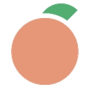 Peachtree VA logo