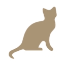 Maine Coon Maniacs logo