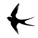 Soaring Wealth, LLC logo